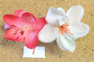 、全部で３個作れる　スペシャル自由課題